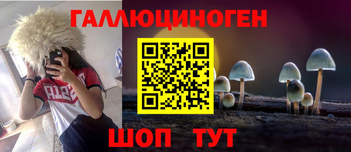 Псилоцибиновые грибы Psilocybine cubensis Прокопьевск